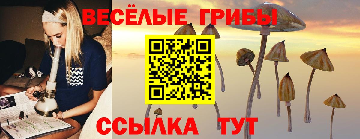 Галлюциногенные грибы прущие грибы Маркс